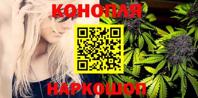 МДПВ Канаш