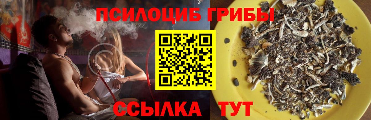 Галлюциногенные грибы Magic Shrooms  Вход с VPN  Курчалой 
